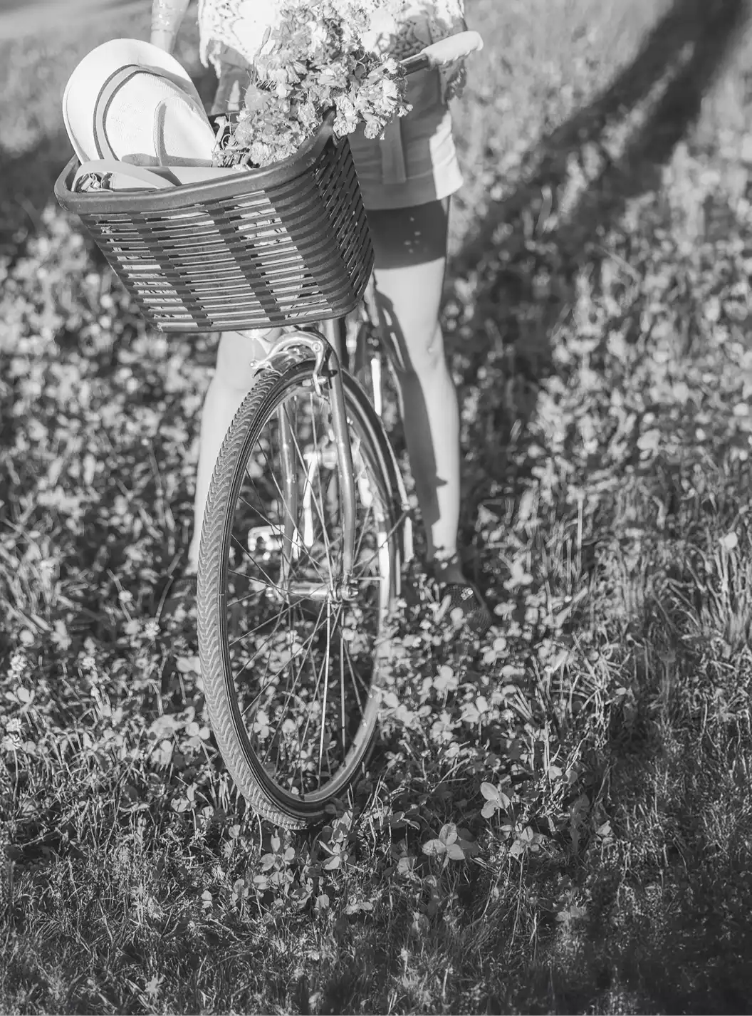 bicycle with basket on front