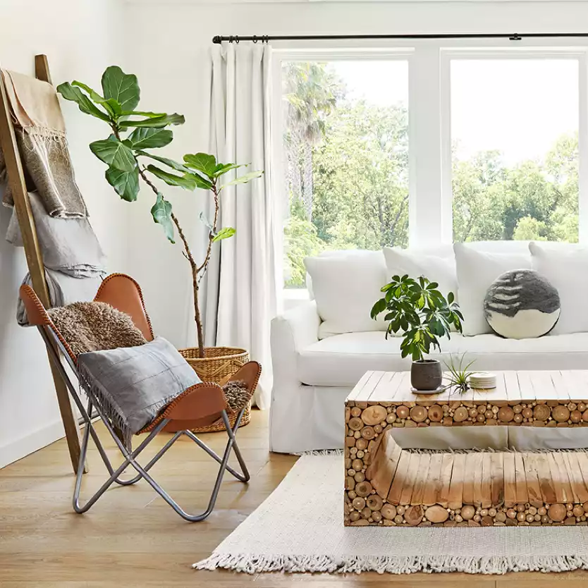 Interior living room photo